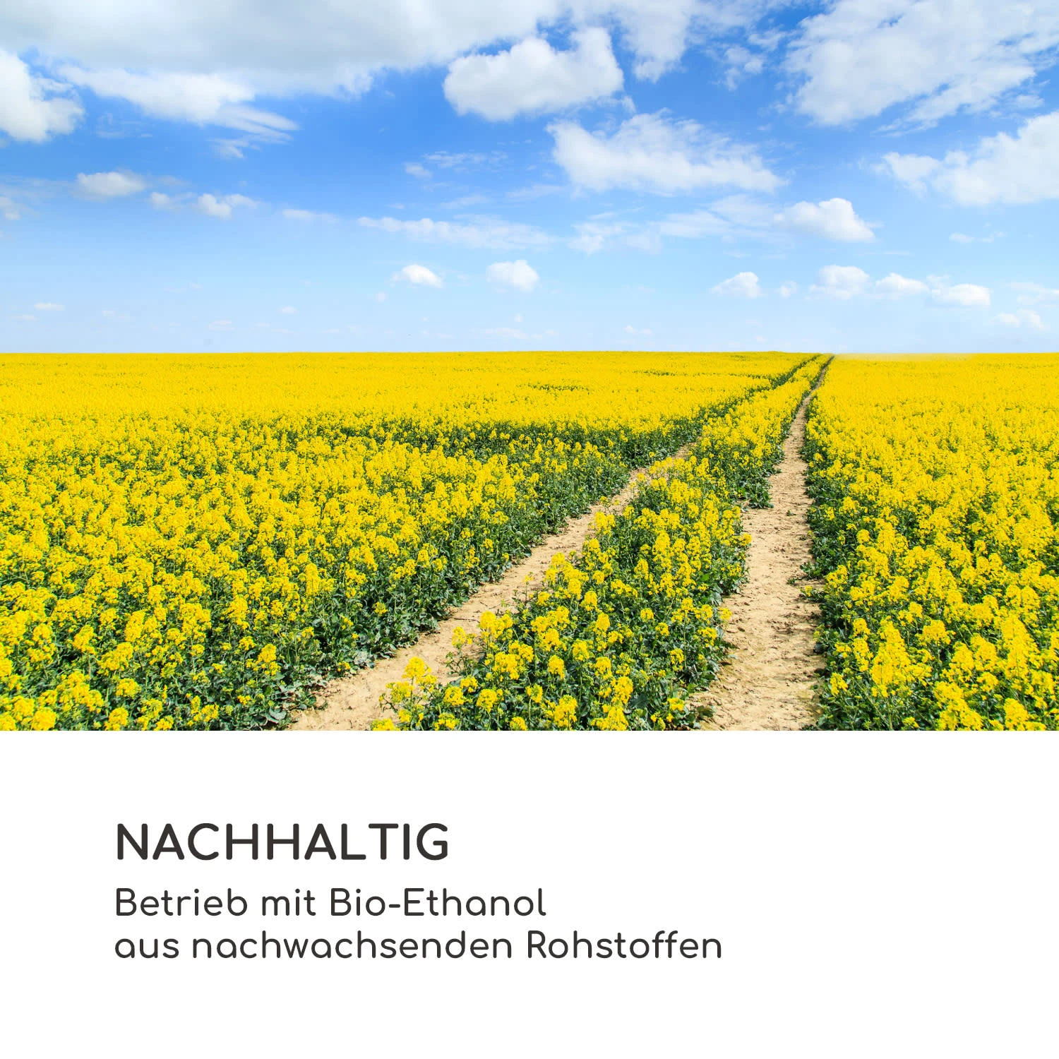 Fiamme Scoppi Ethanol-Kamin Edelstahl-Brenner 3 Liter 5-6 H Brenndauer – Bild 9